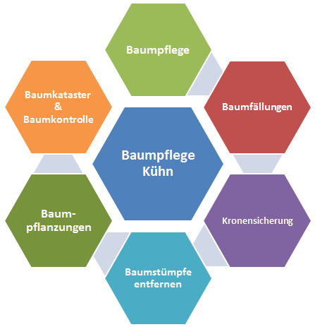 Infografik Baumpflege Kühn in Thüringen