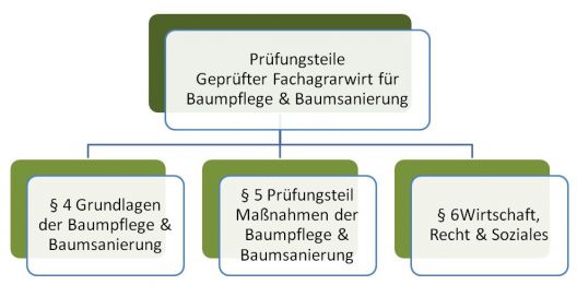 Pr&uuml;fungsteile Gepr&uuml;fter Fachagrarwirt f&uuml;r Baumpflege & Baumsanierung