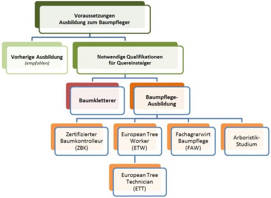 Baumpfleger-Ausbildung