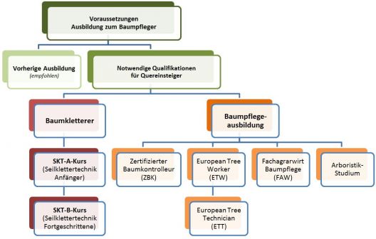 Baumpfleger-Ausbildung