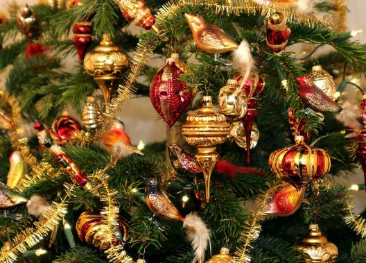 Welcher Baum eignet sich am besten als Weihnachtsbaum?