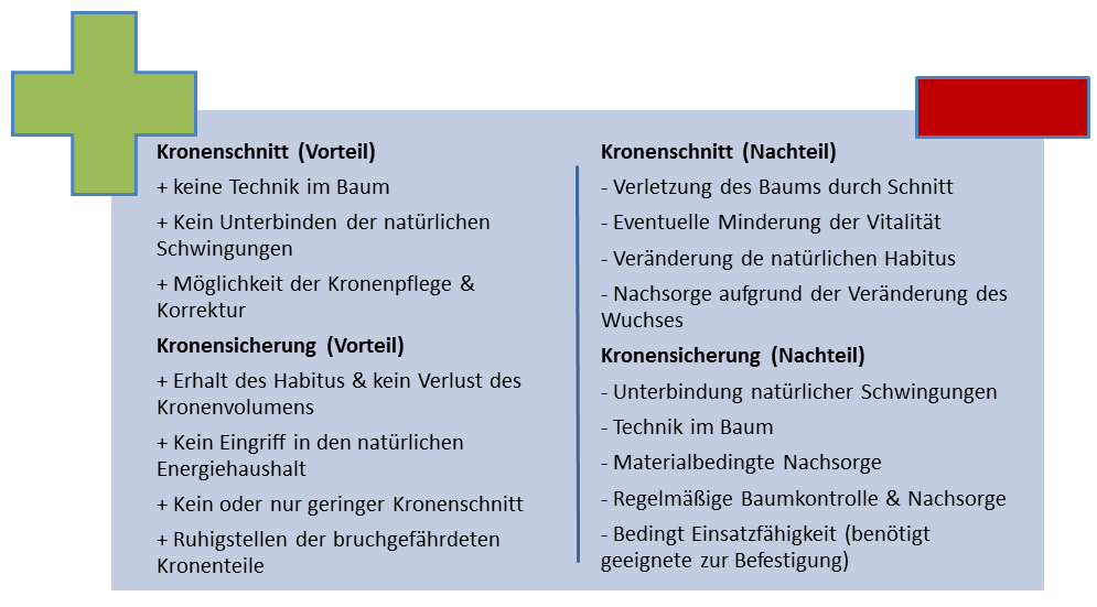 Kronenschnitte vs. Kronensicherungssysteme Infografik Kronenschnitte vs. Kronensicherungssysteme