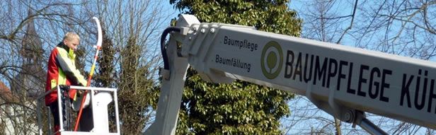 Foto Baumpflege