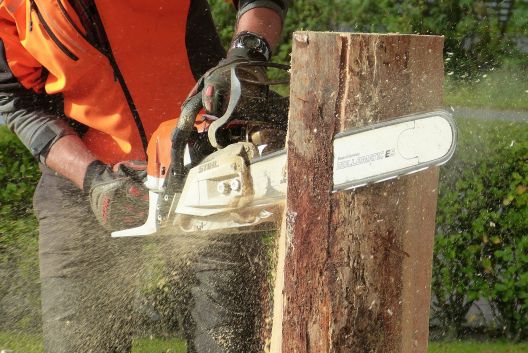 Baumschutzverordnungen und –satzungen in Thüringen
