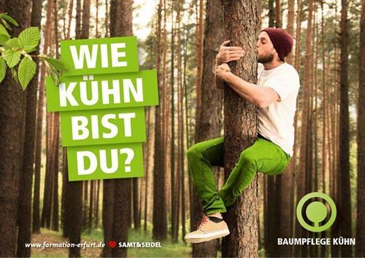 Bild JOBANGEBOT - Mann an Baum.