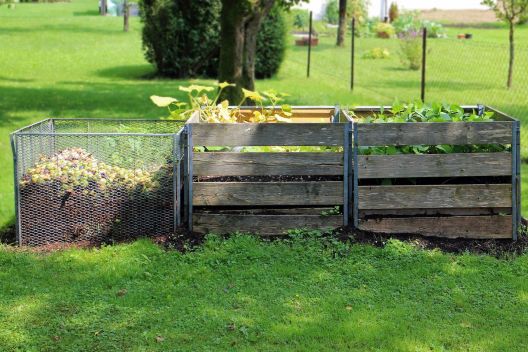 Obstbäume richtig düngen - wann, wie & womit?