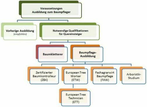 baumpfleger ausbildung baumpfleger ausbildung - baumpfleger-ausbildung