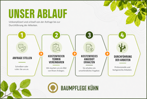 Grafik Baumpflege Ablauf R Grafik Baumpflege Ablauf R - Grafik_Baumpflege_Ablauf_R