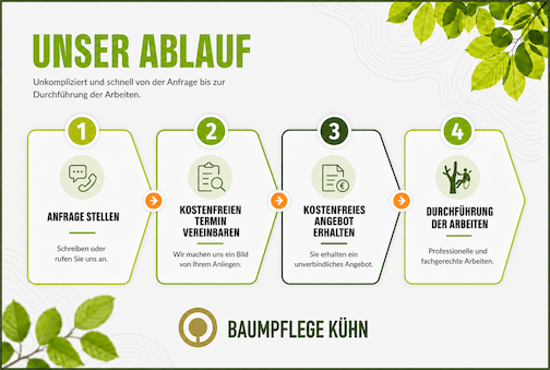 Ablauf bei Baumpflege Kühn: Anfrage, kostenfreier Termin, unverbindliches Angebot und fachgerechte Durchführung der Arbeiten.