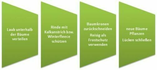 massnahmenbaeumeimwinter massnahmenbaeumeimwinter - massnahmenbaeumeimwinter