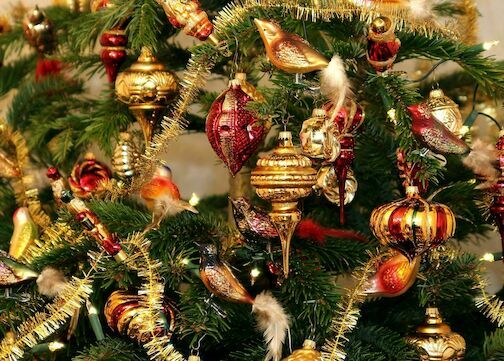 christmas tree christmas tree - christmas-tree-565356-1920