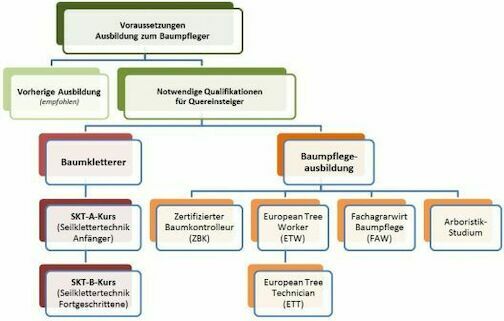 baumpfleger ausbildung baumpfleger ausbildung - baumpfleger-ausbildung