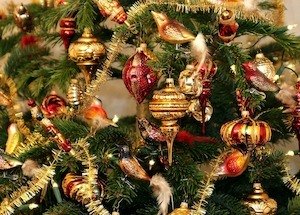 welcher baum eignet sich am besten als weihnachtsbaum - welcher-baum-eignet-sich-am-besten-als-weihnachtsbaum